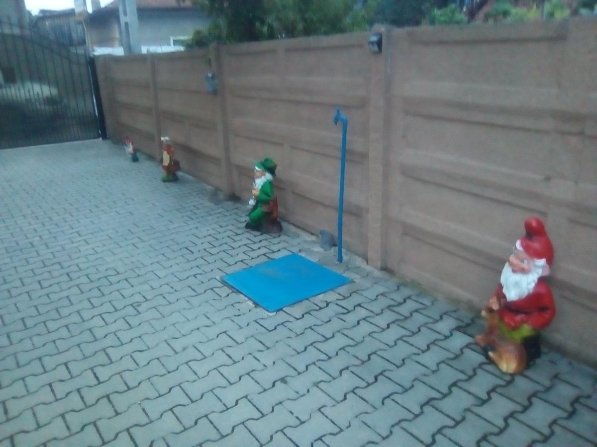 Casa Ovi Si Simo Hotel Hátszeg Kültér fotó