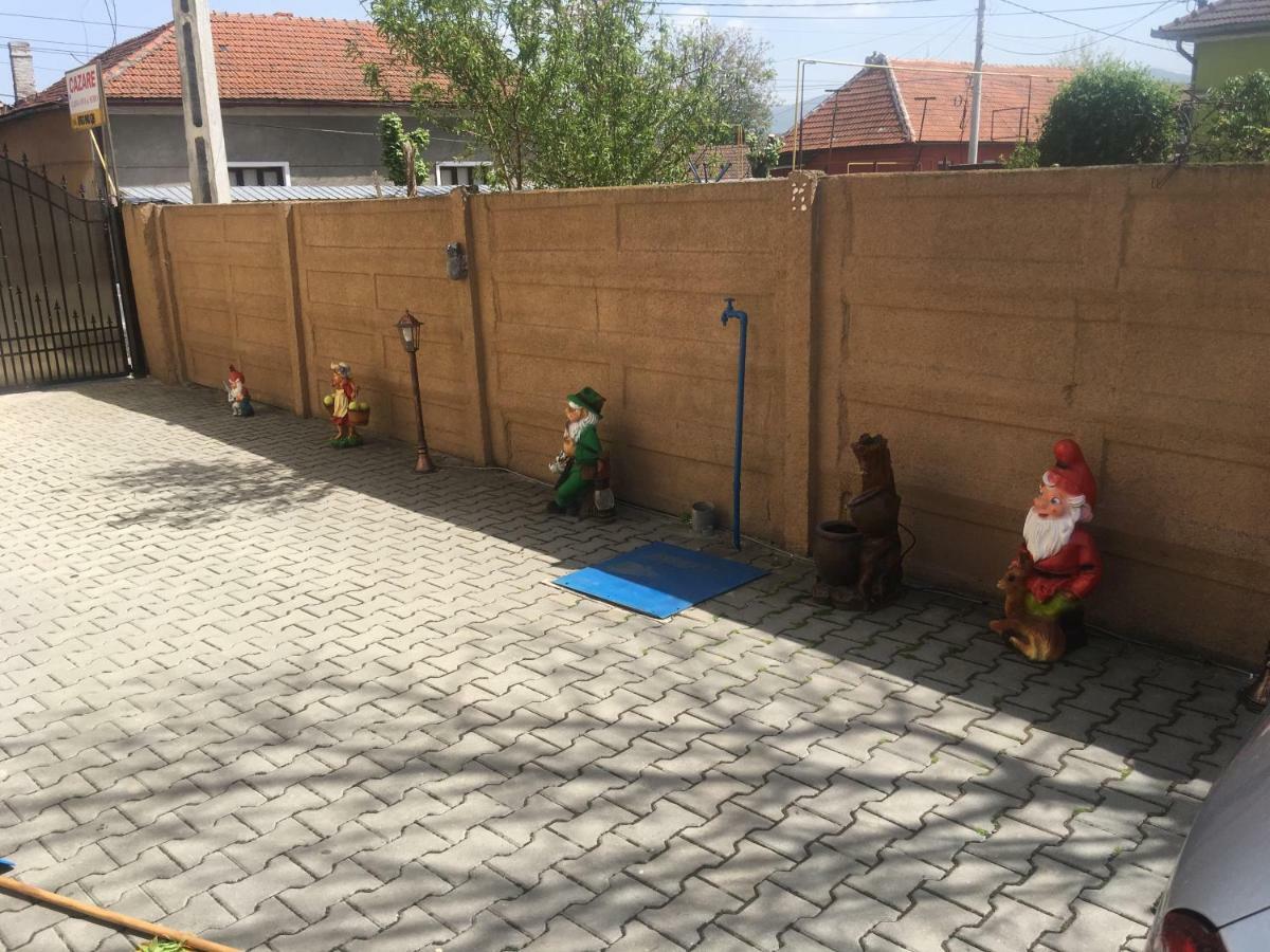 Casa Ovi Si Simo Hotel Hátszeg Kültér fotó